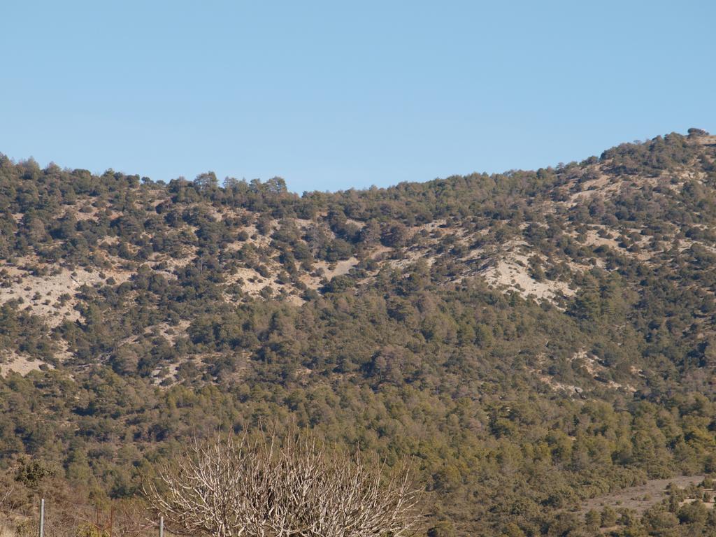 Alojamiento Turístico El Torreón Hostal Fresneda de la Sierra Exterior foto